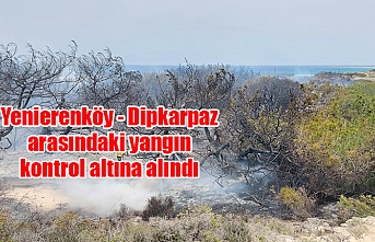 Yenierenköy - Dipkarpaz arasındaki yangın kontrol altına alındı