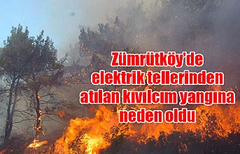 Zümrütköy’de elektrik tellerinden atılan kıvılcım yangına neden oldu