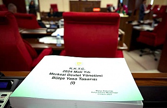 Maliye Bakanlığı bütçesi oy çokluğuyla Meclis’ten geçti
