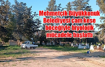 Mehmetçik Büyükkonuk Belediyesi çam kese böceğiyle biyolojik mücadele başlattı