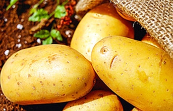 Sonbahar patates üretim dönemine itirazlar 18 Ocak’a kadar yapılabilecek