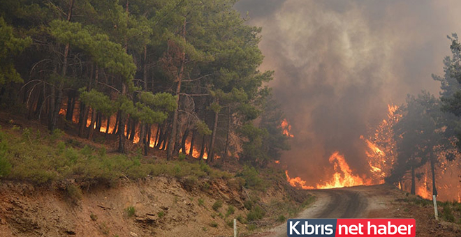 İzmir’deki yangın Manisa’nın Turgutlu ilçesinde sıçradı