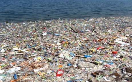 Plastik miktarı 10 yıl içinde 3 katına çıkabilir