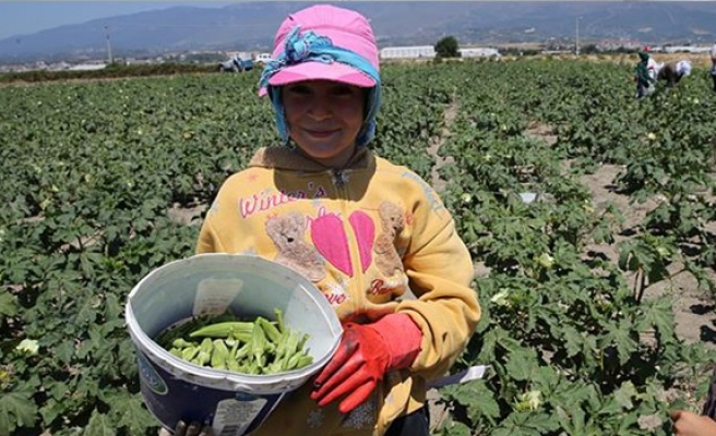 2018 çocuk işçiliği ile mücadele yılı ilan edildi