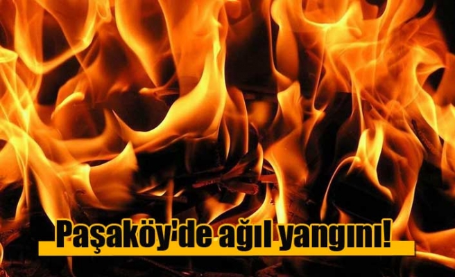 Paşaköy'de ağıl yangını!