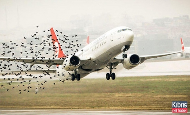 Kuşlara çarpan uçak İstanbul'a döndü
