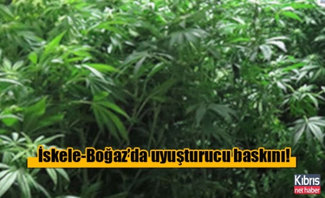 İskele-Boğaz’da uyuşturucu baskını!
