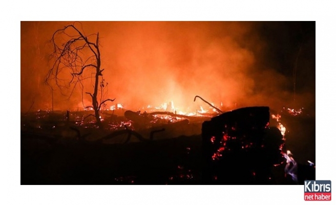 Yangın 2 milyon hektar alanı kül etti