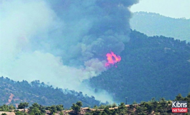 Güney Kıbrıs'ta Yıldırım Yangına Yol Açtı