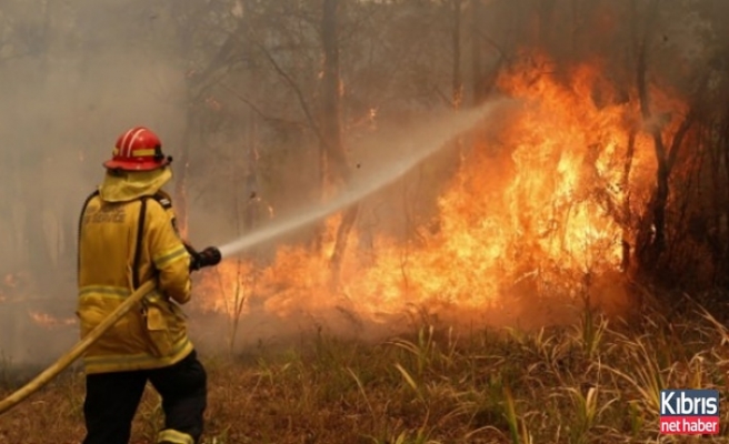 Avustralya'da orman yangınları devam ediyor