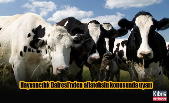 Hayvancılık Dairesi’nden aflatoksin konusunda uyarı