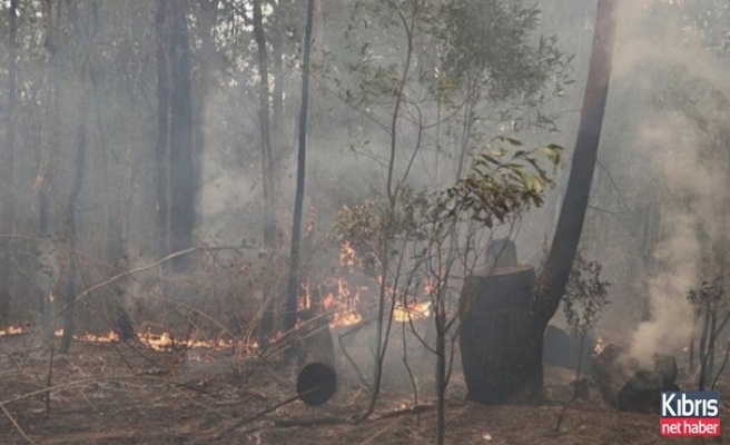 Avustralya'da sıcaklıkların düşmesiyle yangınların bir kısmı kontrol altına alındı