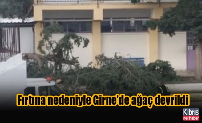 Fırtına nedeniyle Girne’de ağaç devrildi