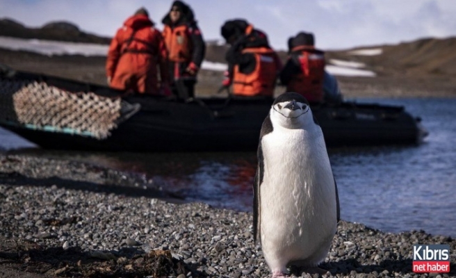 Antartika 20.75 dereceyle rekor kırdı