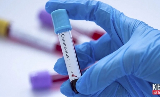 Türkiye'de yeni koronavirüs vakaları tespit edildi