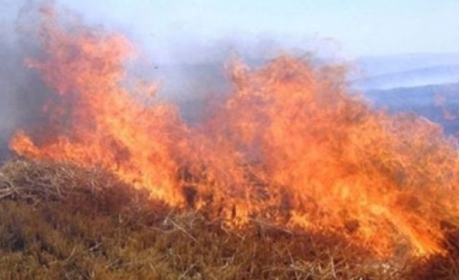 Alaköy’de 400 dönüm arazi yandı!