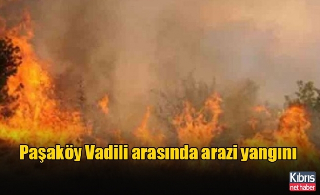 Paşaköy Vadili arasında arazi yangını
