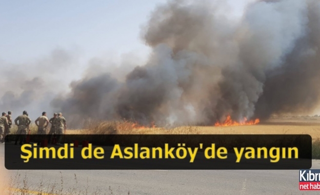 Şimdi de Aslanköy'de yangın
