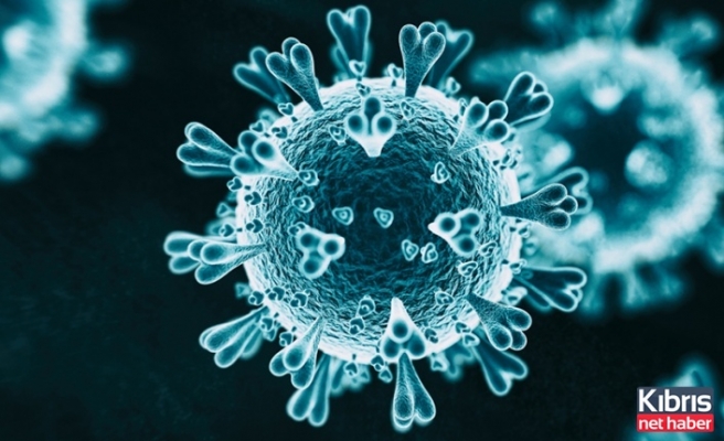 CDC corona virüse 4 yeni belirti ekledi