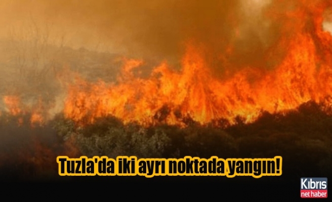 Tuzla'da iki ayrı noktada yangın!