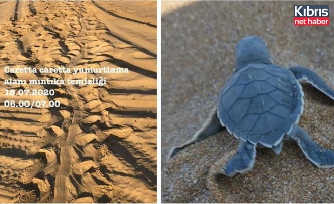 Her Daim Dostlar, kaplumbağaların yumurtladığı sahilleri temizliyor