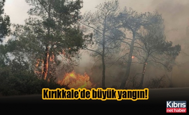 Kırıkkale’de büyük yangın!