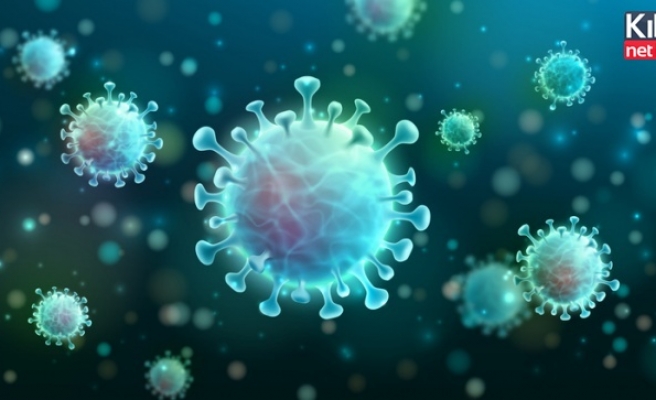 Korona virüs vaka sayısı 20 milyona yaklaştı