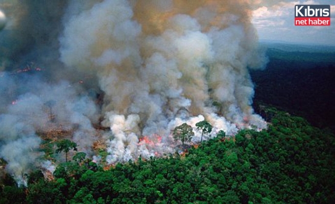 Brezilya'da yangınlar dünyanın en büyük sulak alanını tehdit ediyor