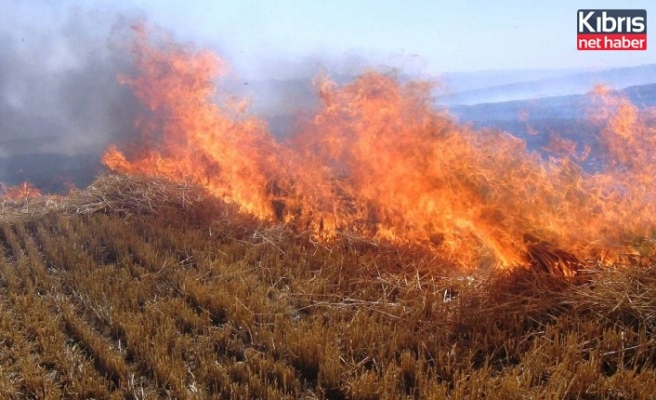 İncirli köyünde arazi yangını