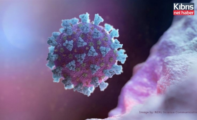 Mutasyona uğrayan koronavirüste en önemli belirti ortaya çıktı