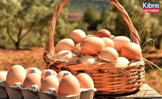 Köyce organik çiftliği’ne organik yumurta pazarlma izni verildi