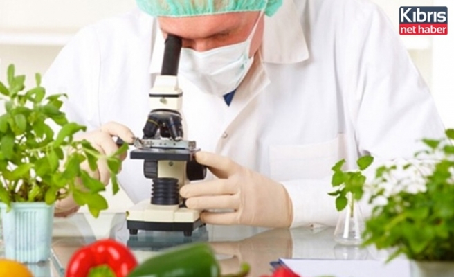 Tüm Gıdaların Pestisit Analizleri Temiz Çıktı