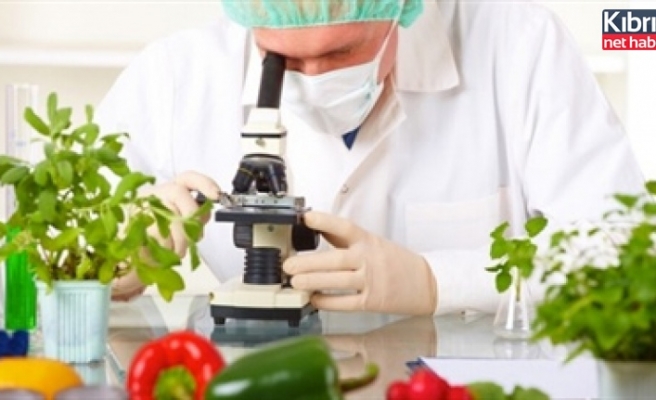 Tüm gıdaların pestist analizleri temiz çıktı