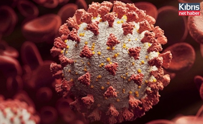 Japonya'dan mutasyon corona virüse karşı yeni önlem