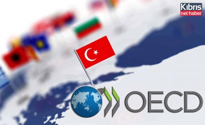 OECD göstergelerinde Türkiye sürprizi: En güçlü 5. ülke