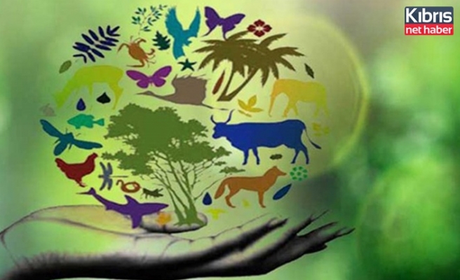 Çevre Koruma Dairesi, dünya biyolojik çeşitlilik günü’ne dikkat çekmek için etkinlikler düzenliyor