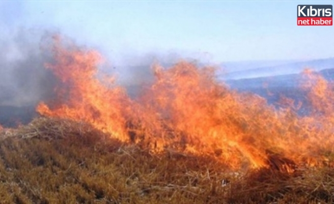 Gazimağusa'da ve Beyarmudu'unda arazi yangını