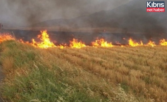 Yeşilköy'ün doğu kısmında yangın