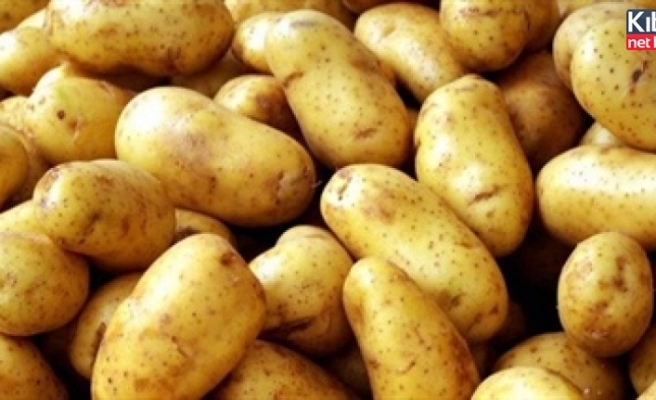 İlkbahar patates askı listeleri asıldı