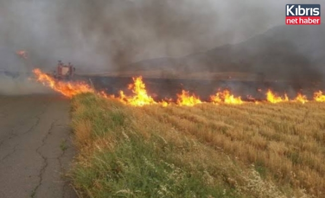 Karpaşa'da arazi yangını çıktı
