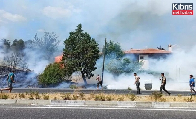 Muğla'da orman yangını (Evler tahliye ediliyor)