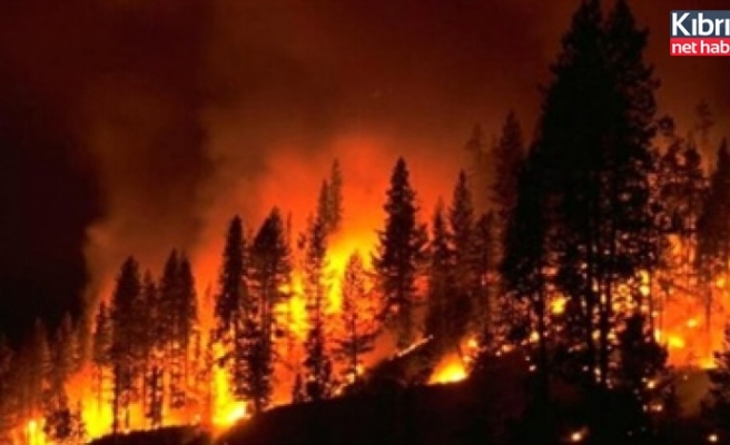 "Orman yangınlarına" ilişkin meclis araştırma komitesi raporu