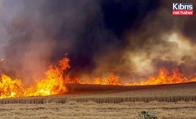 Dağyolu’nda arazi yangını