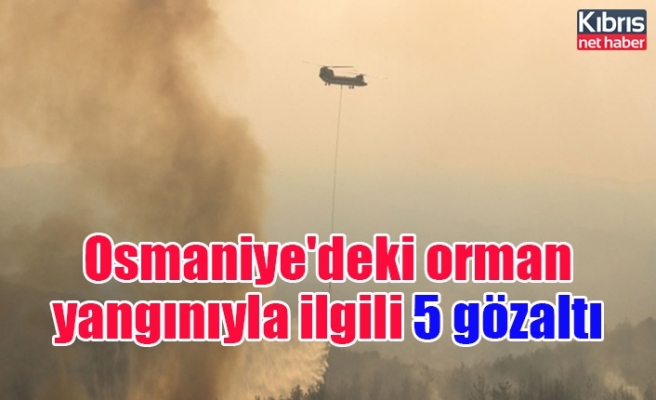 Osmaniye'deki orman yangınıyla ilgili 5 gözaltı