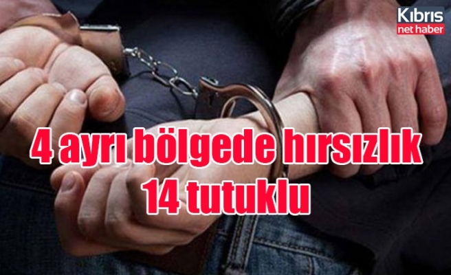 4 ayrı bölgede hırsızlık 14 tutuklu