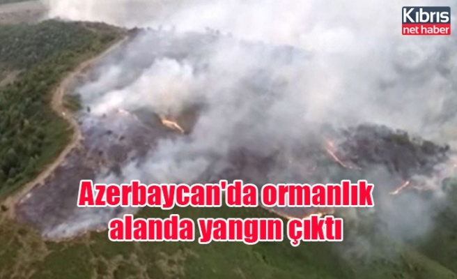 Azerbaycan'da ormanlık alanda yangın çıktı