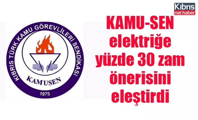 KAMU-SEN elektriğe yüzde 30 zam önerisini eleştirdi
