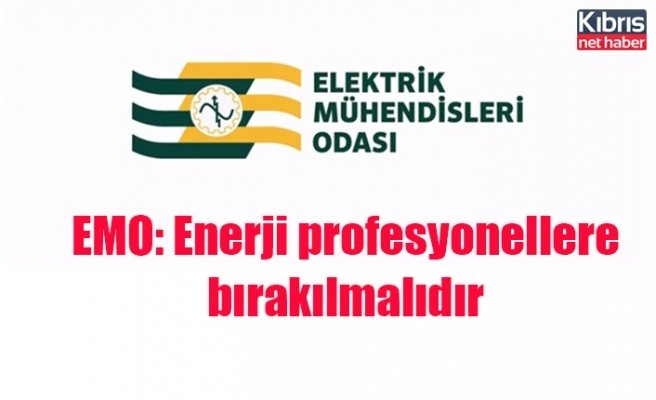 EMO: Enerji profesyonellere bırakılmalıdır