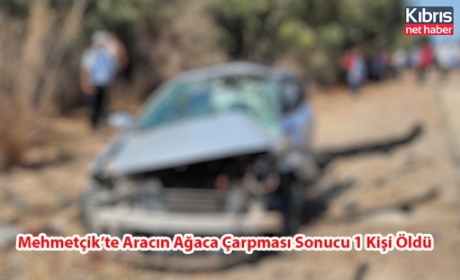 Mehmetçik’te Aracın Ağaca Çarpması Sonucu 1 Kişi Öldü