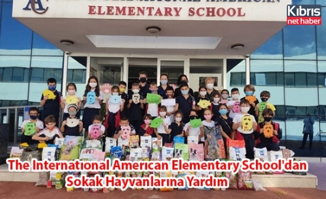 The Internatıonal Amerıcan Elementary School'dan Sokak Hayvanlarına Yardım